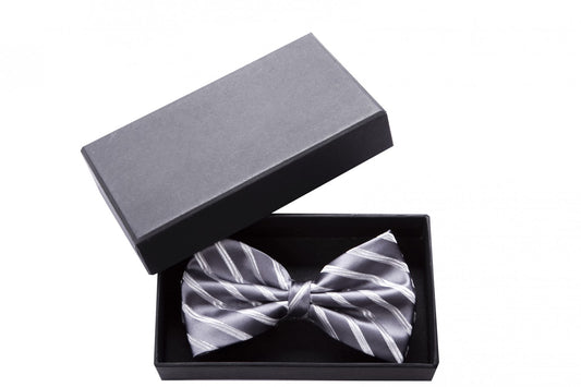 Fabio Farini verschiedene Farben Vorgebundene Fliege Grau