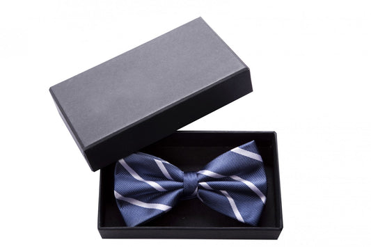 Fabio Farini verschiedene Farben Vorgebundene Fliege Blau