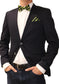 Fabio Farini Set bestehend aus Fliege & Einstecktuch