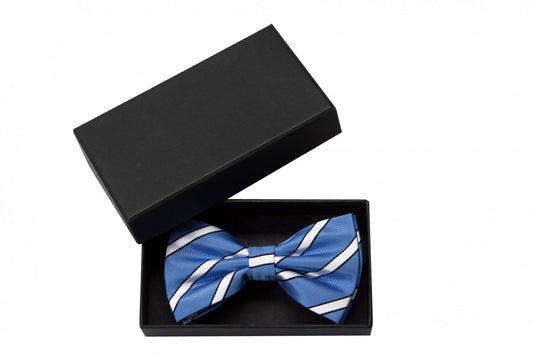 Fabio Farini verschiedene Farben Vorgebundene Fliege Blau