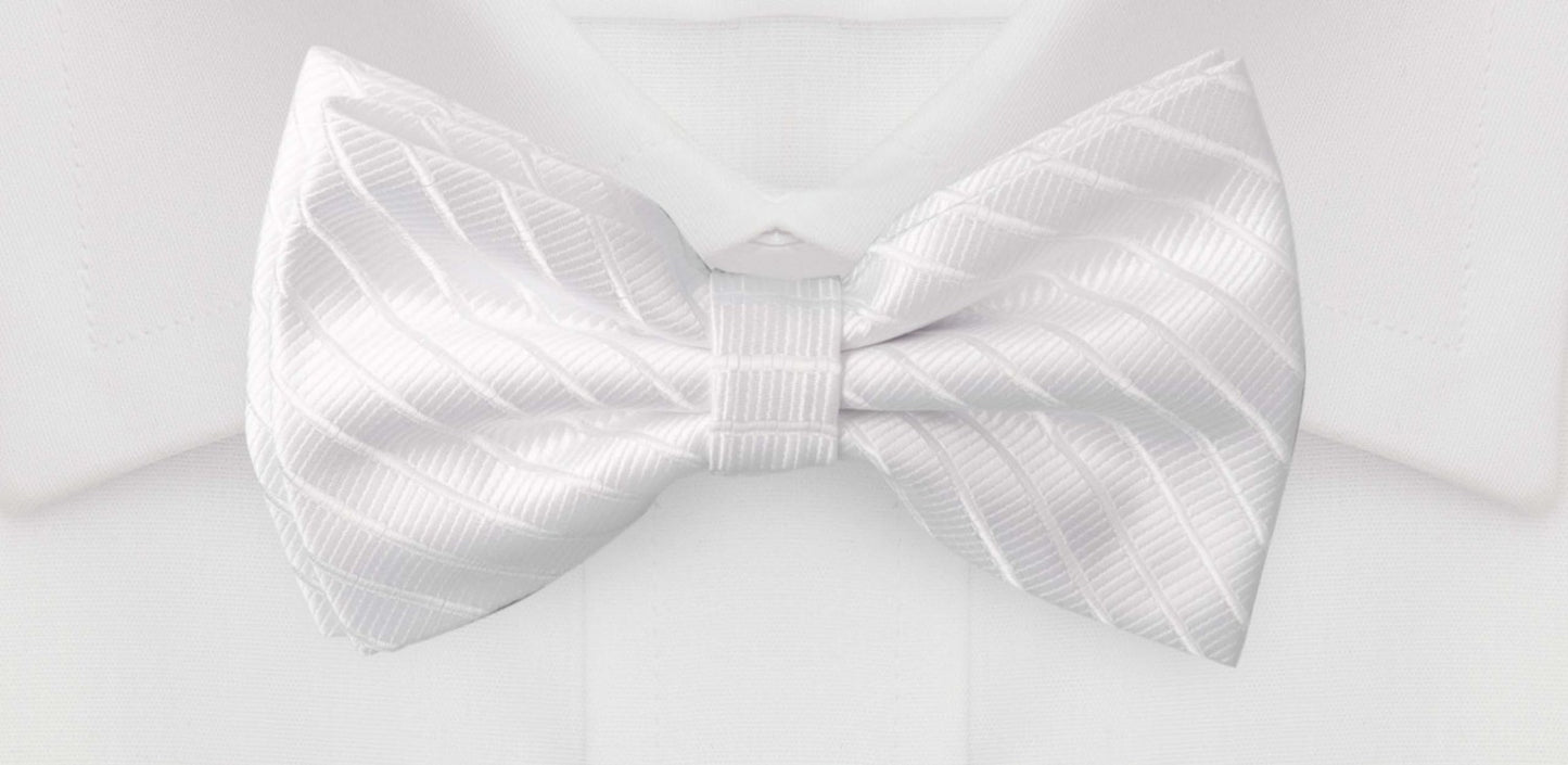 Fliege weiß edel gestreift Hochzeit uni Schleife Fabio Farini Glanz Querbinder